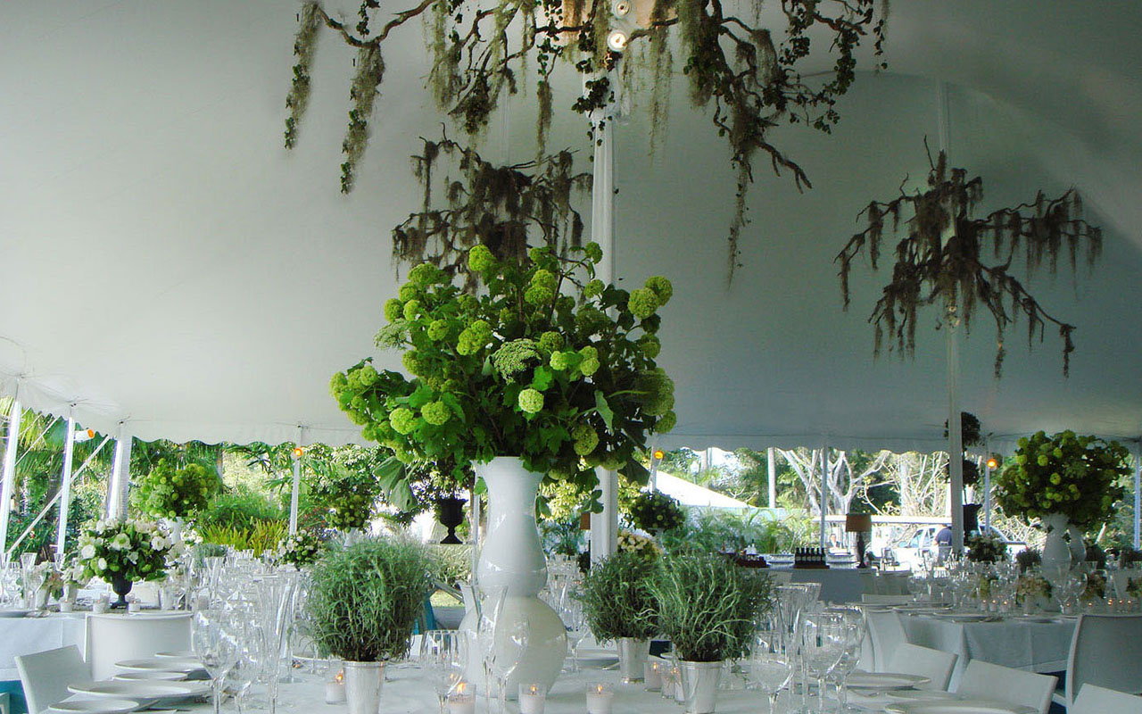 Spring Wedding, Fairchild Tropical Botanic Garden