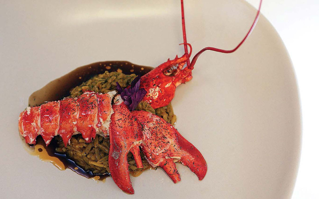 Maine Lobster, Licorice Orzo